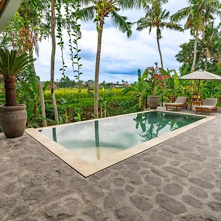 Ubud Green Escape, Amazing View